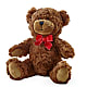 Adorable Plush Bear – Sensation Flowers Boutique Inc, Miami FL