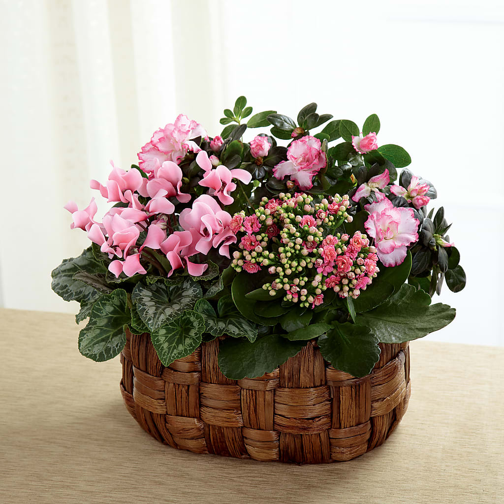 Pink Assortment – Sensation Flowers Boutique Inc, Miami FL