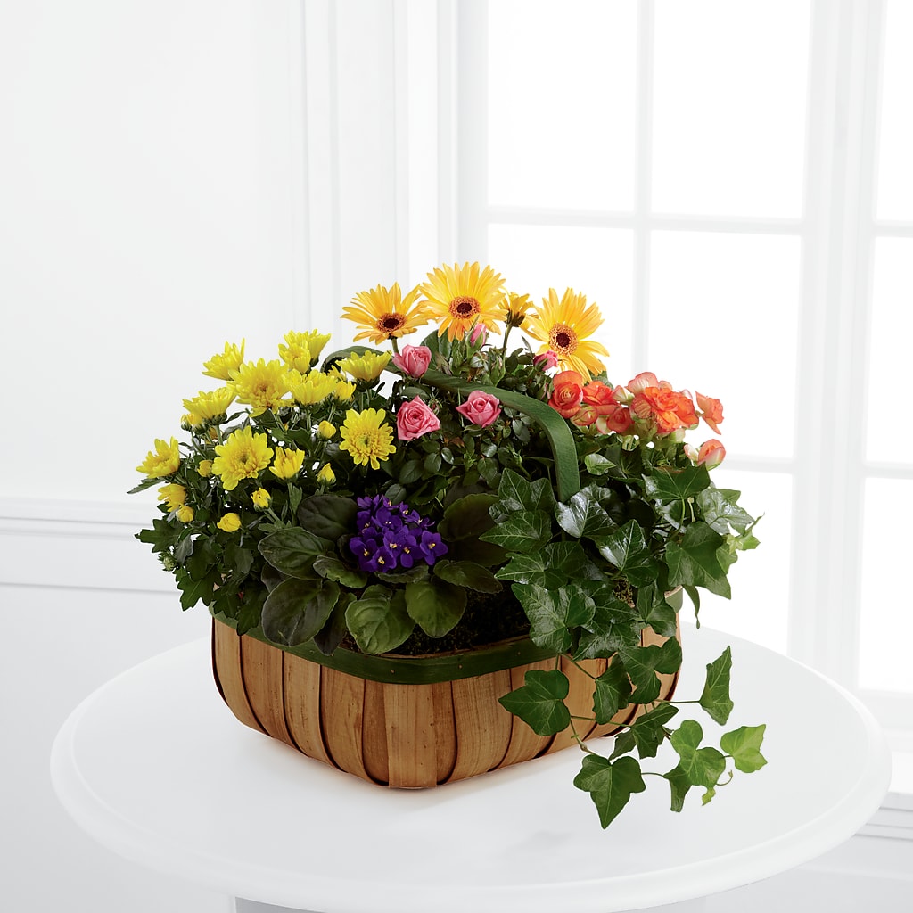 Gentle Blossoms Basket – Sensation Flowers Boutique Inc, Miami FL