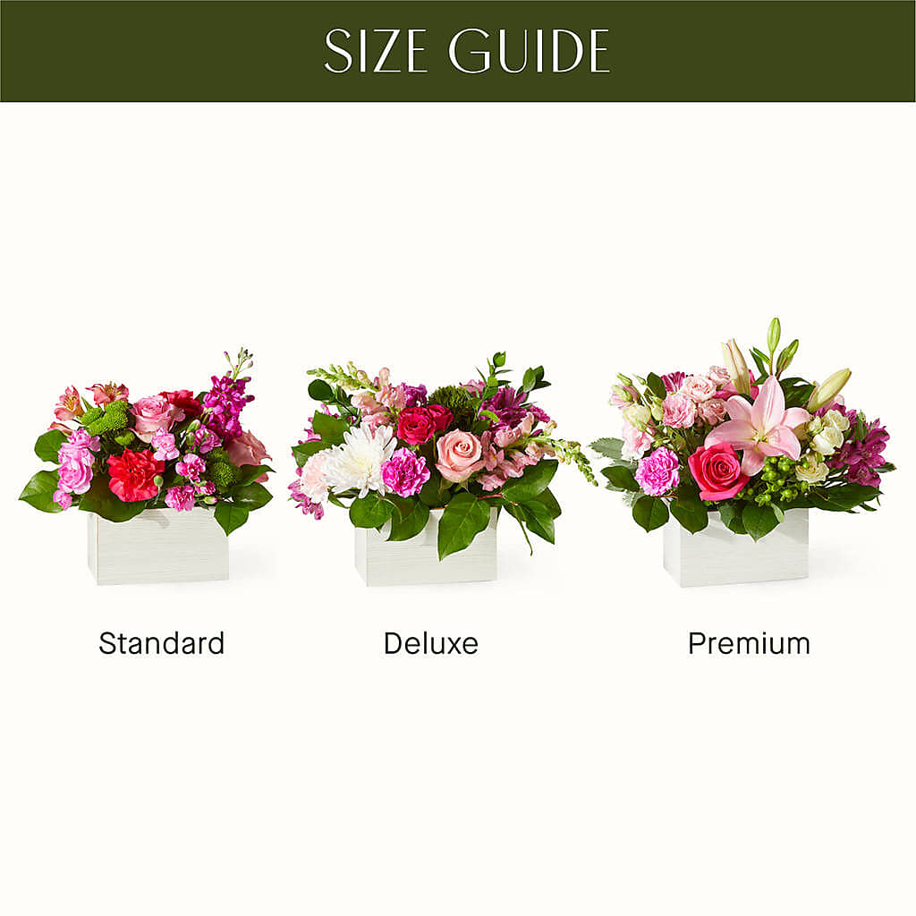 Sweetberry Box – A Florist Original – Sensation Flowers Boutique Inc, Miami FL