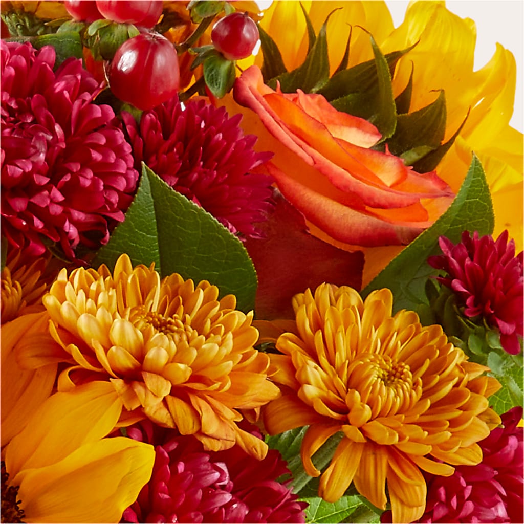 Sweater Season - A Florist Original – Sensation Flowers Boutique Inc, Miami FL