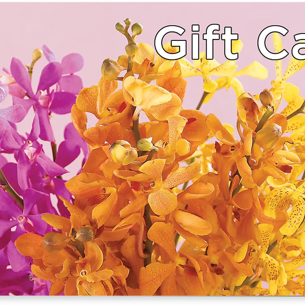 Gift Card – Sensation Flowers Boutique Inc, Miami FL