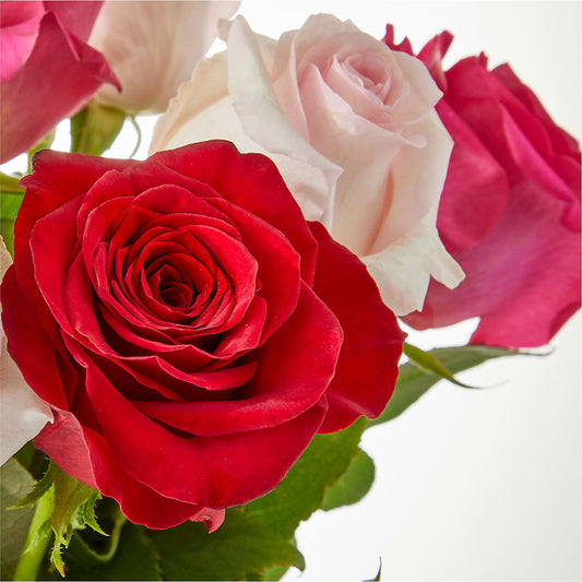 Charming Rose Bouquet – Sensation Flowers Boutique Inc, Miami FL