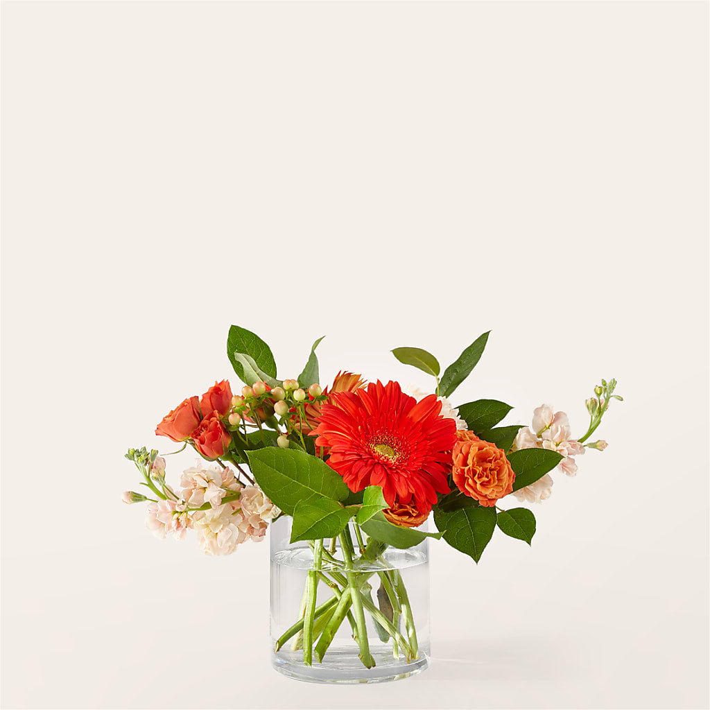 Paloma Please Bouquet – Sensation Flowers Boutique Inc, Miami FL