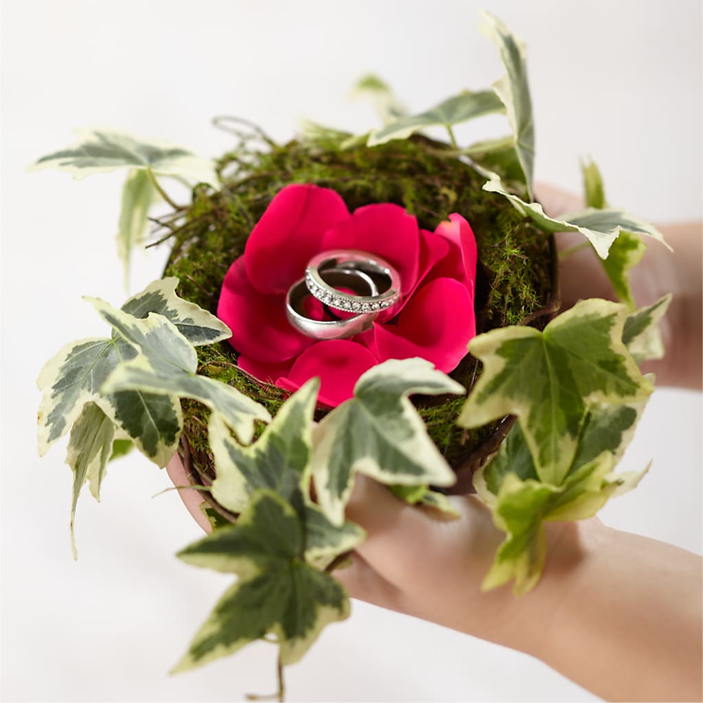 Lila Rose Ring Nest – Sensation Flowers Boutique Inc, Miami FL