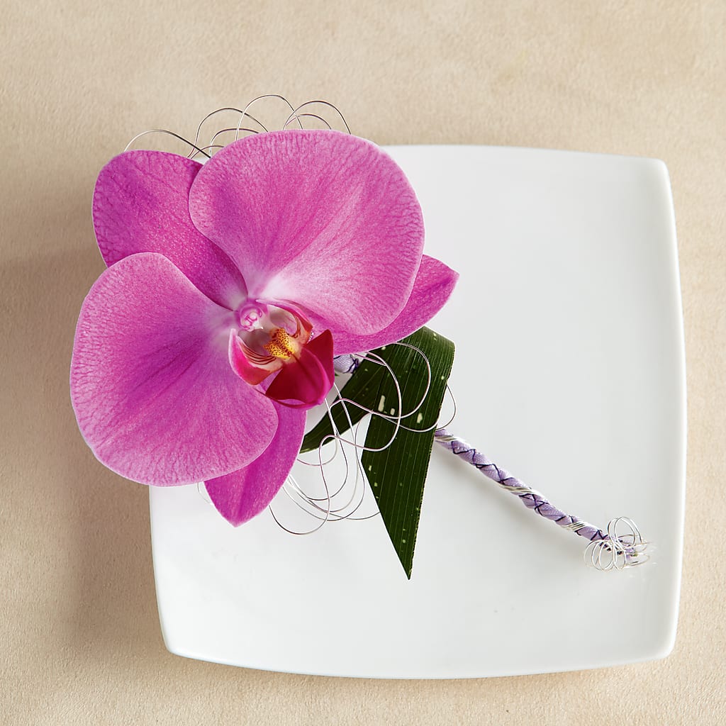 Glorious Boutonniere – Sensation Flowers Boutique Inc, Miami FL