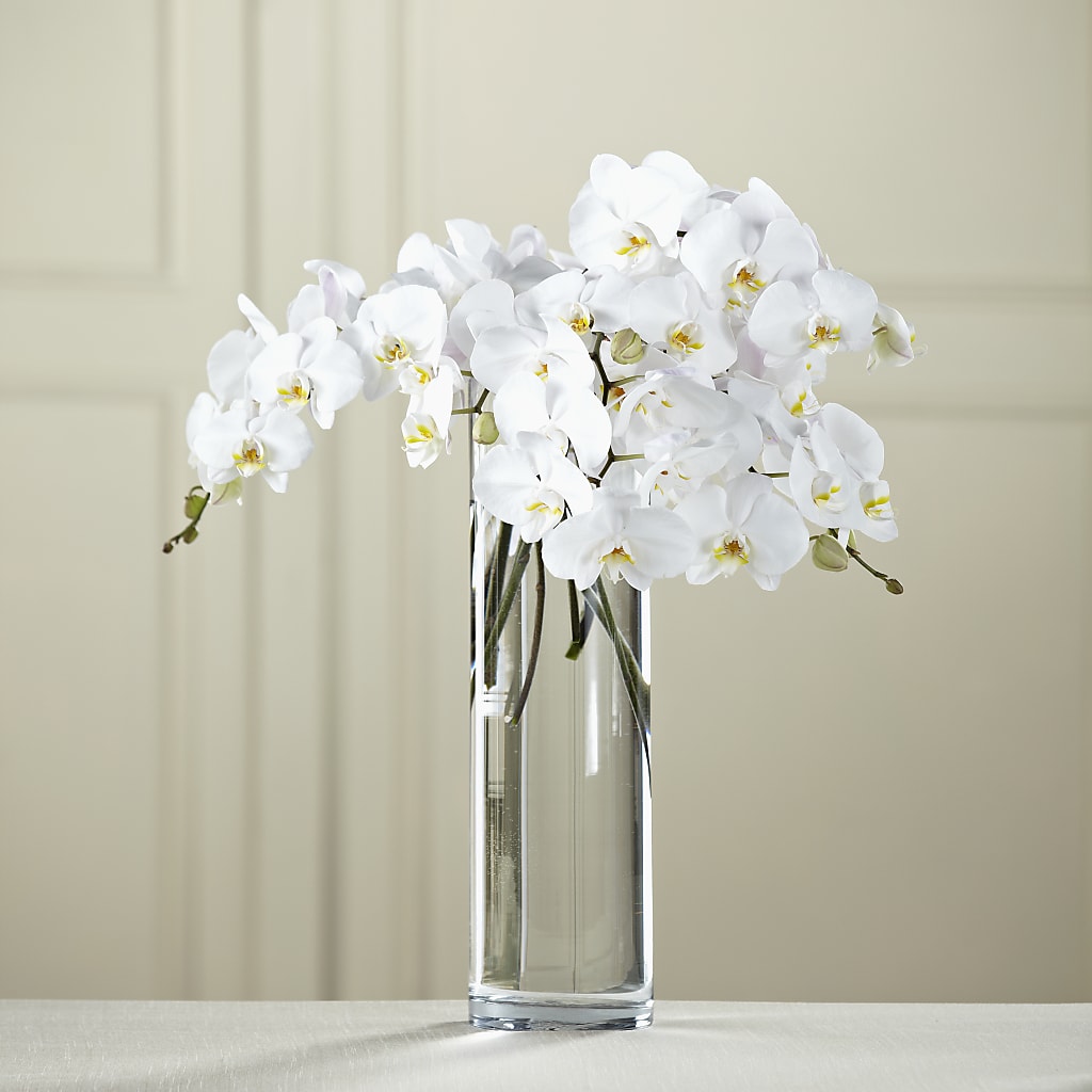 White Phalaenopsis Bouquet – Sensation Flowers Boutique Inc, Miami FL