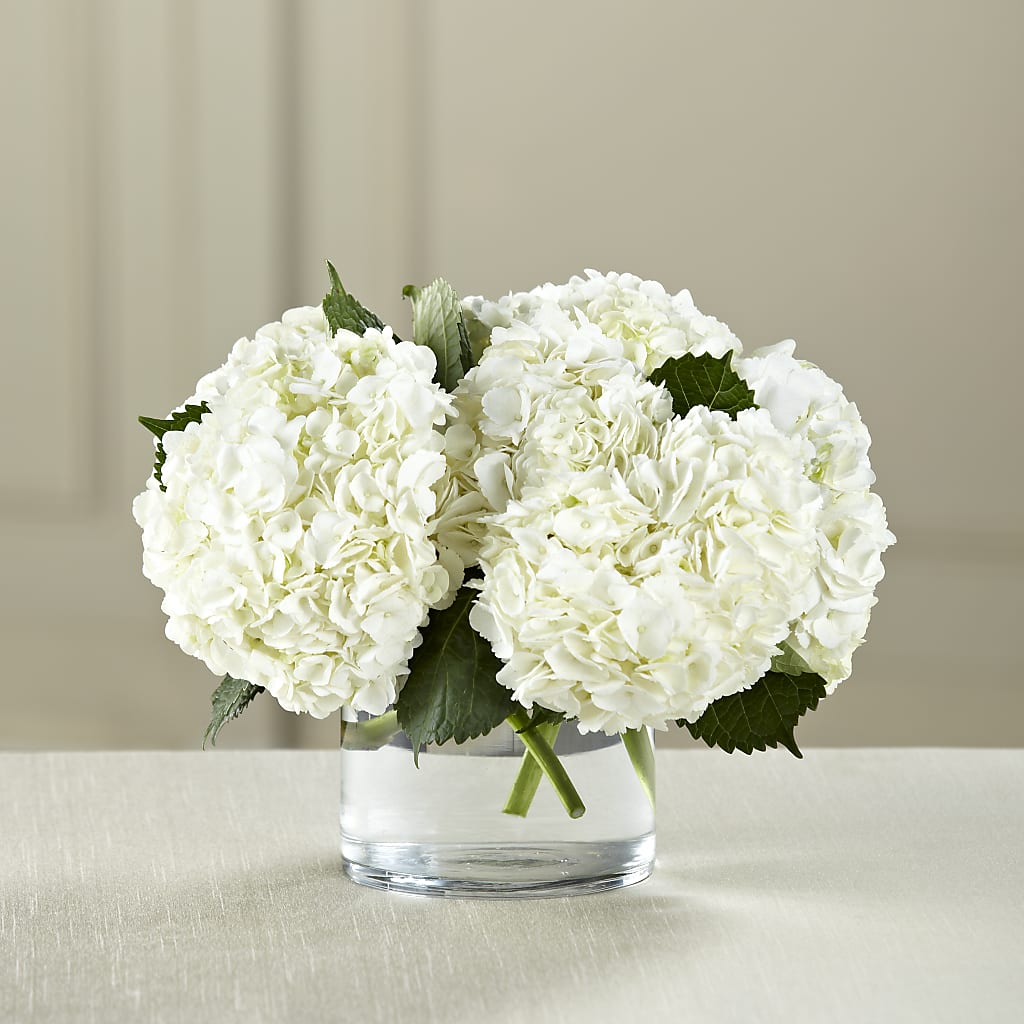White Hydrangea Bouquet – Sensation Flowers Boutique Inc, Miami FL