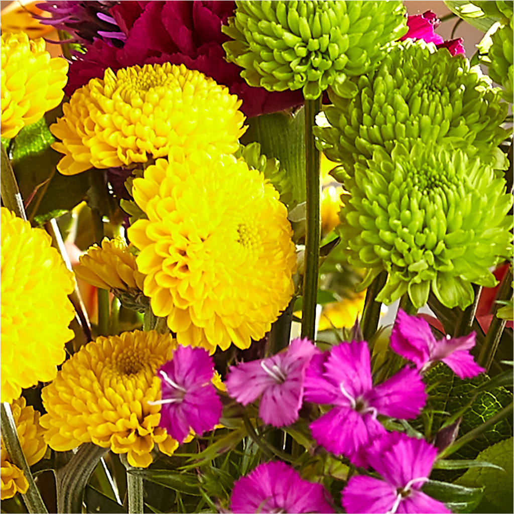Bold & Bright – A Florist Original –  Sensation Flowers Boutique Inc, Miami FL