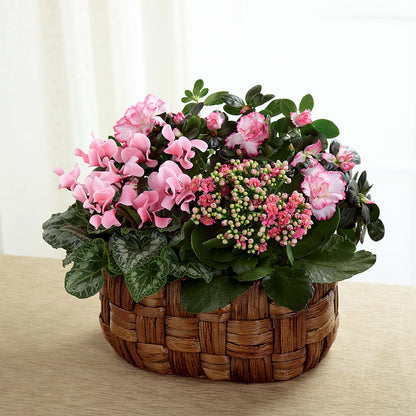 Pink Assortment –  Sensation Flowers Boutique Inc, Miami FL