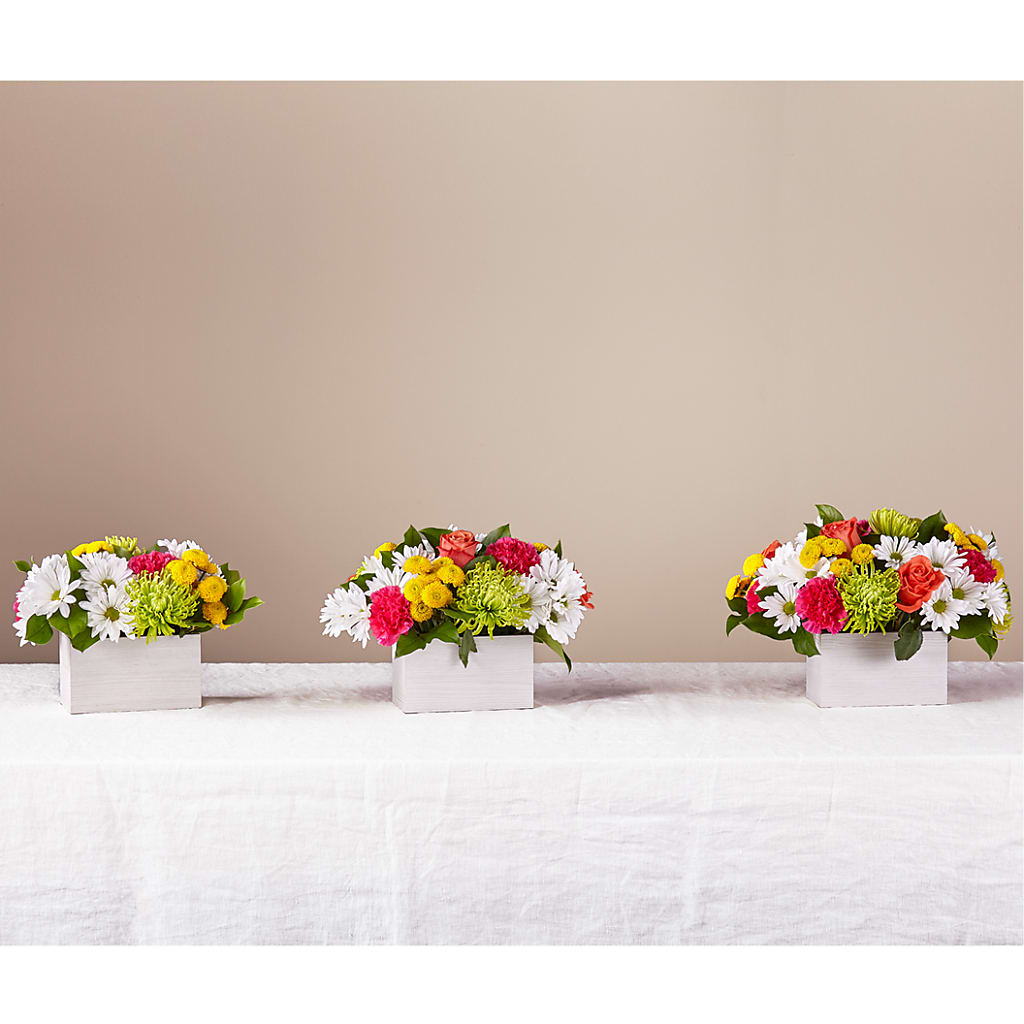Sorbet Bouquet –  Sensation Flowers Boutique Inc, Miami FL