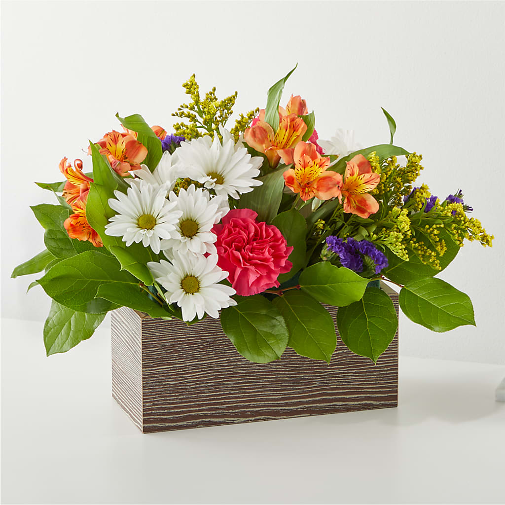 Oopsie Daisy Box Bouquet –  Sensation Flowers Boutique Inc, Miami FL