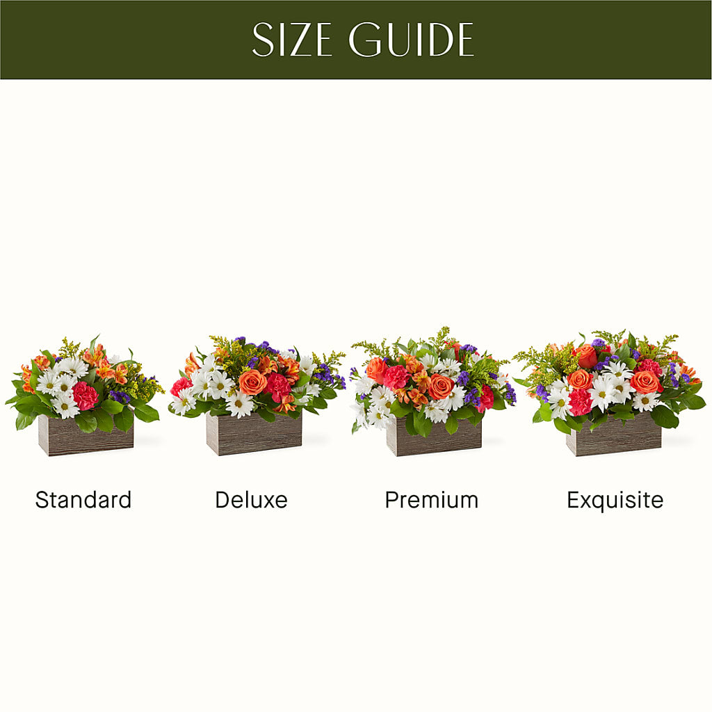 Oopsie Daisy Box Bouquet –  Sensation Flowers Boutique Inc, Miami FL