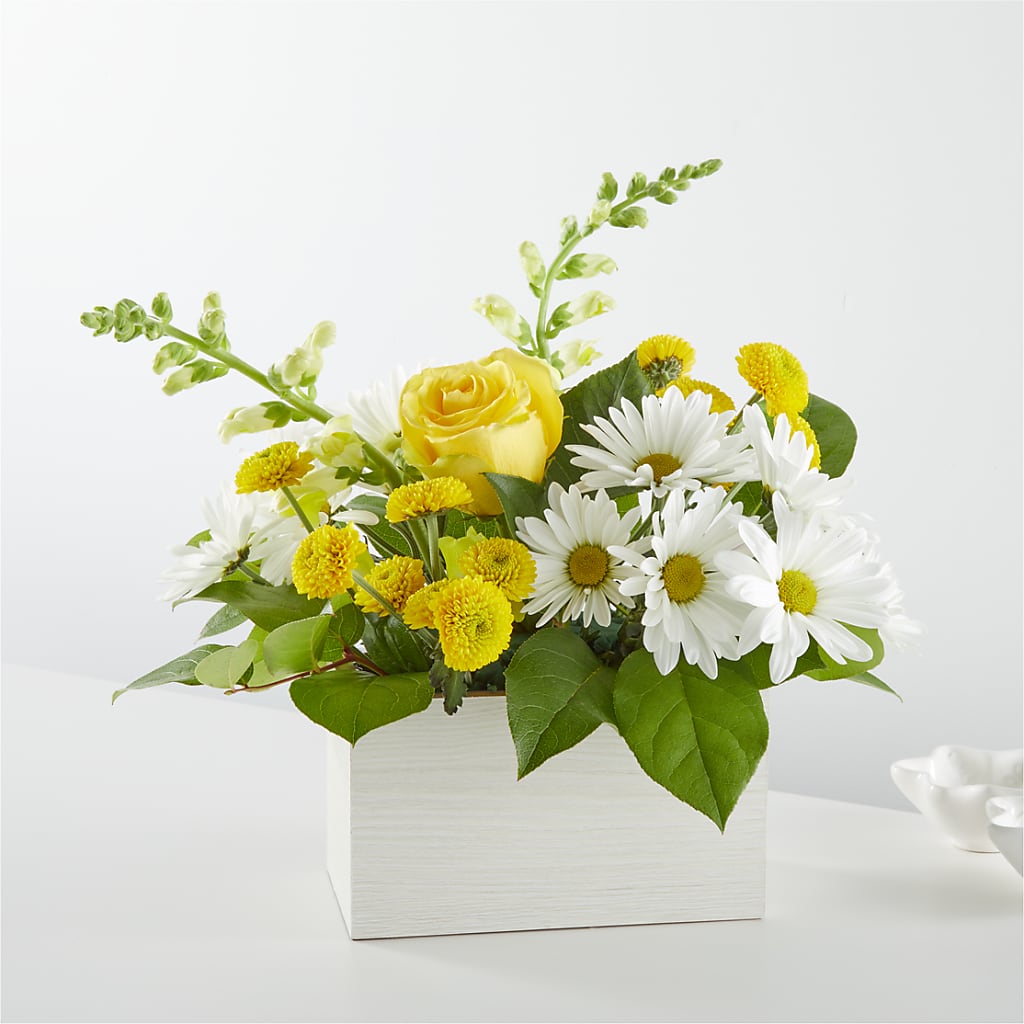 Sun Salutation Box Bouquet –  Sensation Flowers Boutique Inc, Miami FL