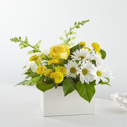 Sun Salutation Box Bouquet –  Sensation Flowers Boutique Inc, Miami FL