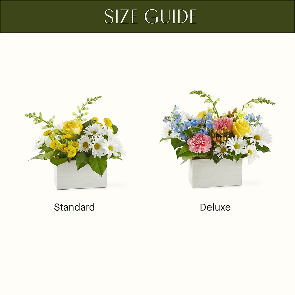 Sun Salutation Box Bouquet –  Sensation Flowers Boutique Inc, Miami FL