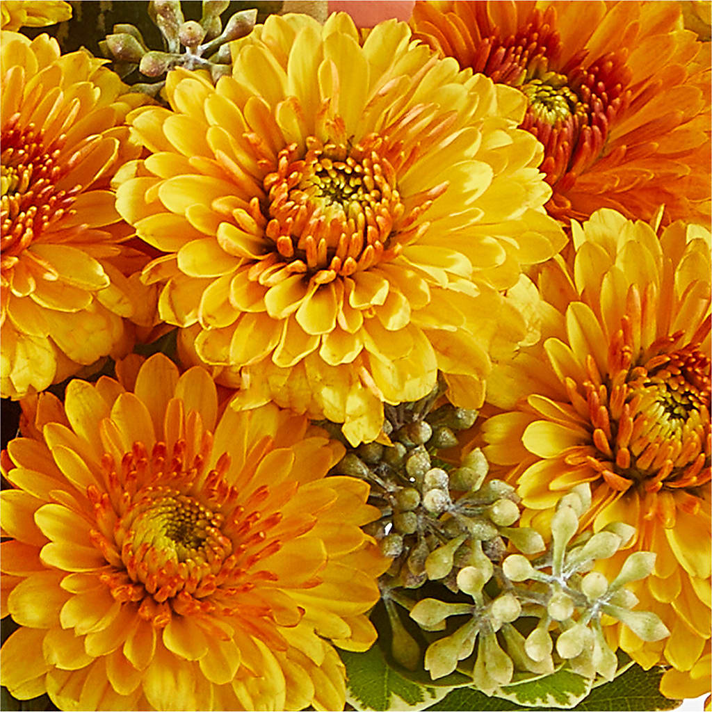 Peachy Pumpkin –  Sensation Flowers Boutique Inc, Miami FL