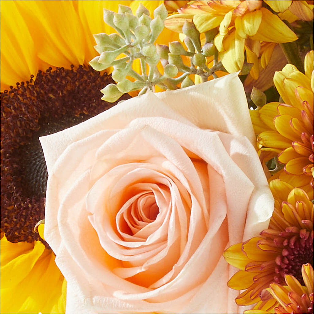 Pumpkin to Talk About Bouquet –  Sensation Flowers Boutique Inc, Miami FL