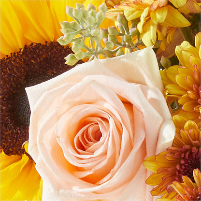 Pumpkin to Talk About Bouquet –  Sensation Flowers Boutique Inc, Miami FL