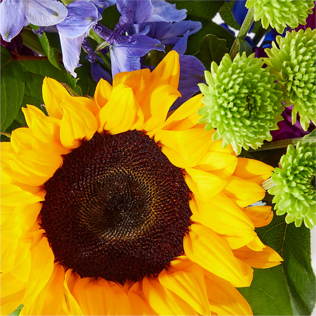 Catching Rays Bouquet –  Sensation Flowers Boutique Inc, Miami FL