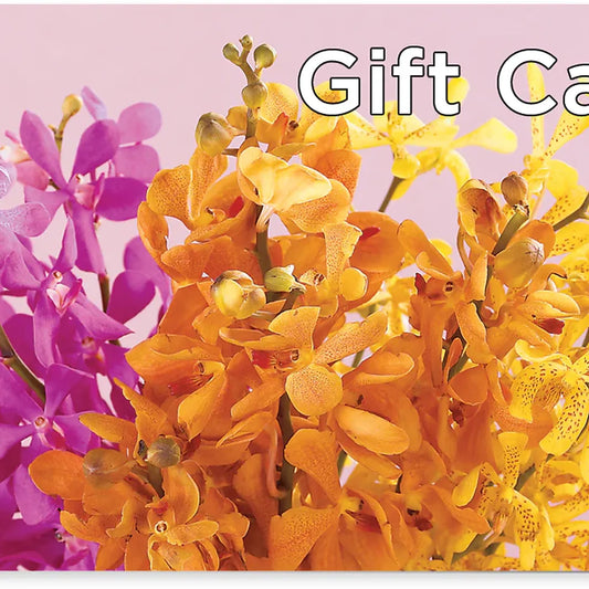 Gift Card –  Sensation Flowers Boutique Inc, Miami FL