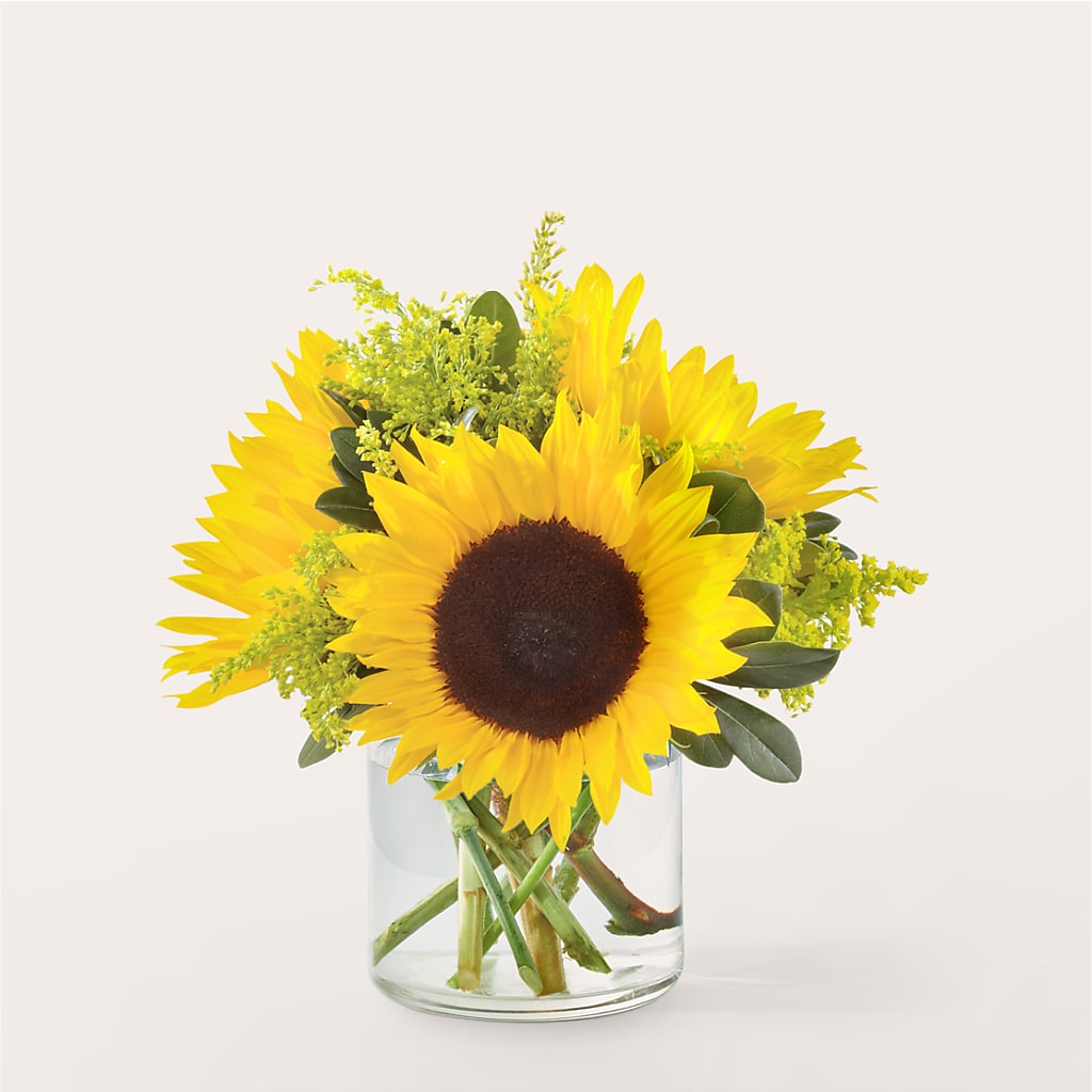 Beaming Sunflower Bouquet –  Sensation Flowers Boutique Inc, Miami FL
