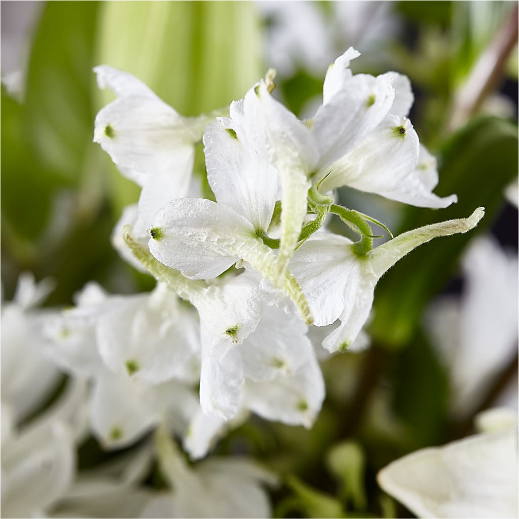 Classic Ivory – A Florist Original –  Sensation Flowers Boutique Inc, Miami FL
