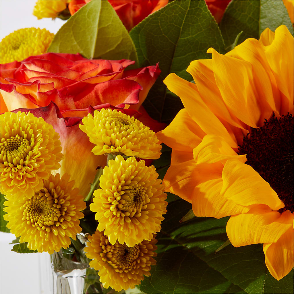 Picnic in the Park Bouquet –  Sensation Flowers Boutique Inc, Miami FL