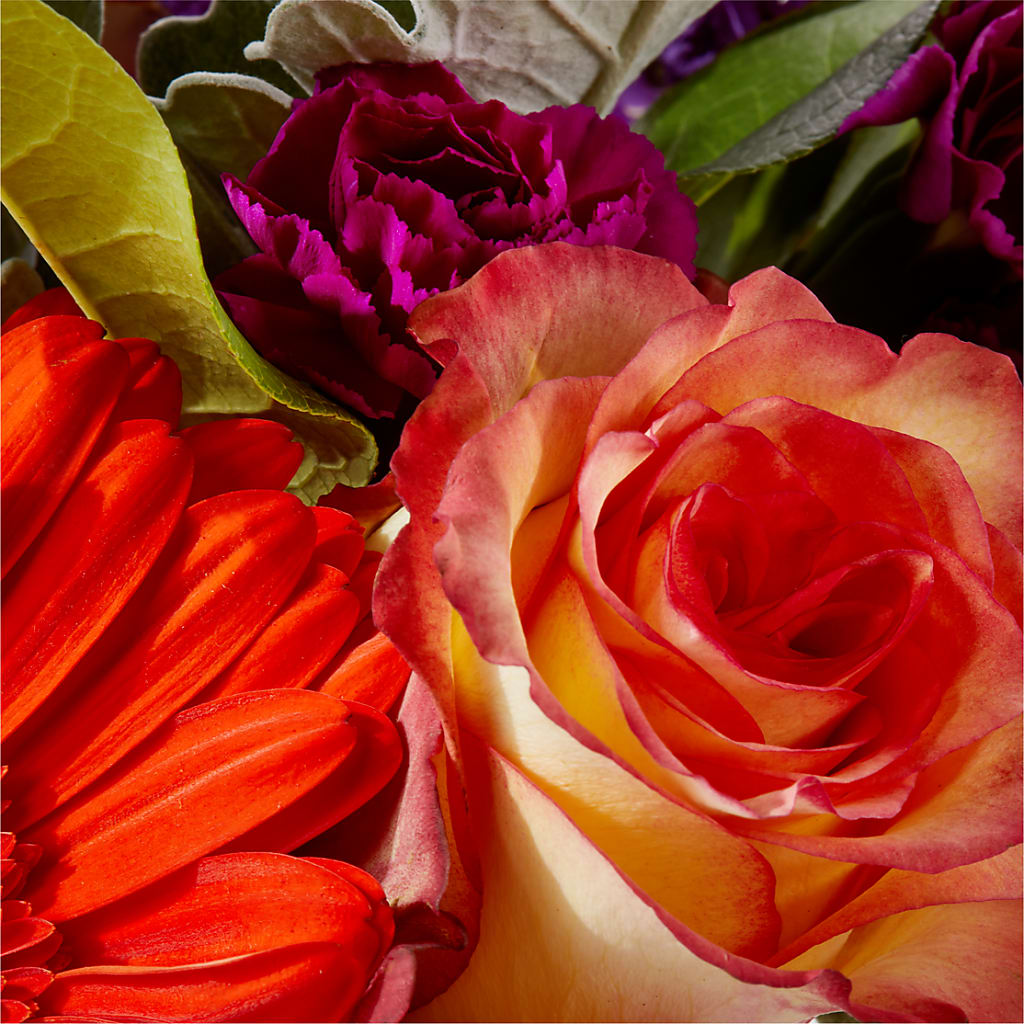 Sangria Bouquet –  Sensation Flowers Boutique Inc, Miami FL