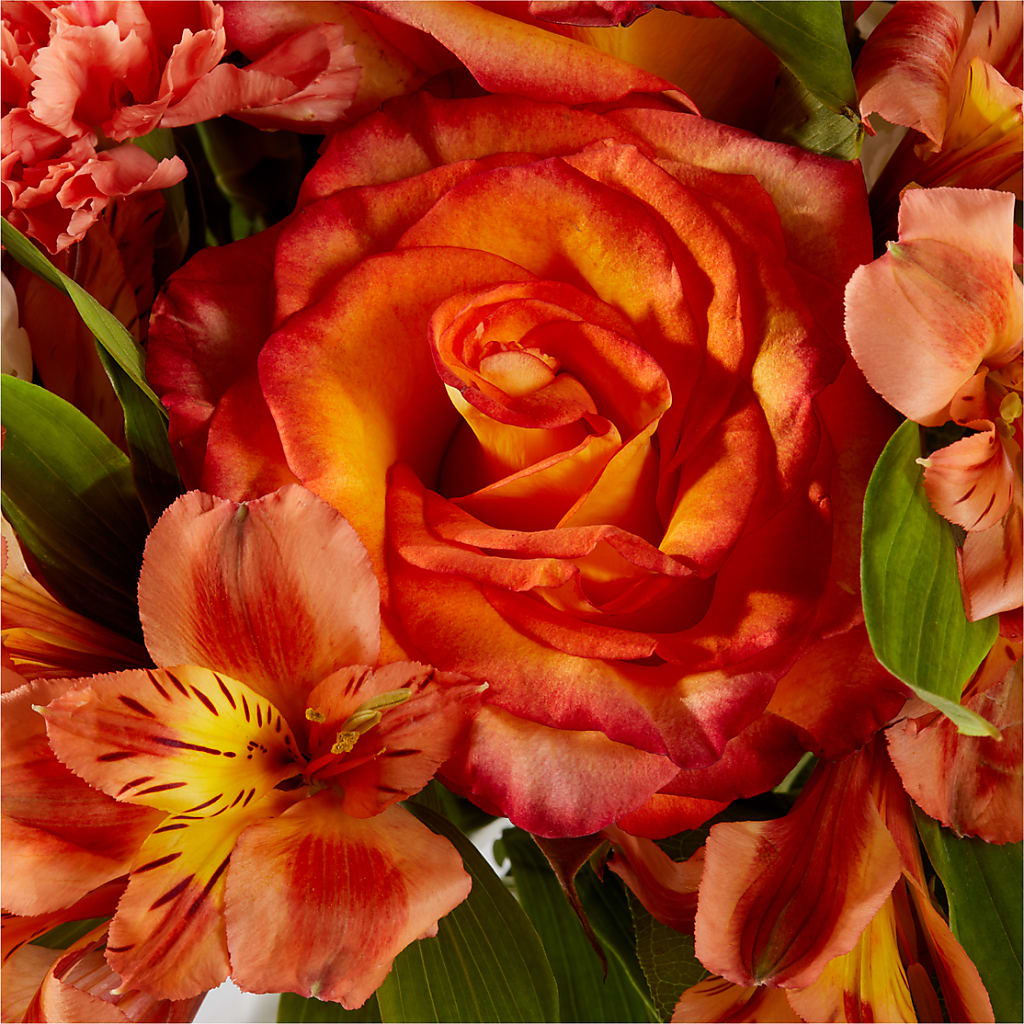 Apricot Glow Bouquet –  Sensation Flowers Boutique Inc, Miami FL
