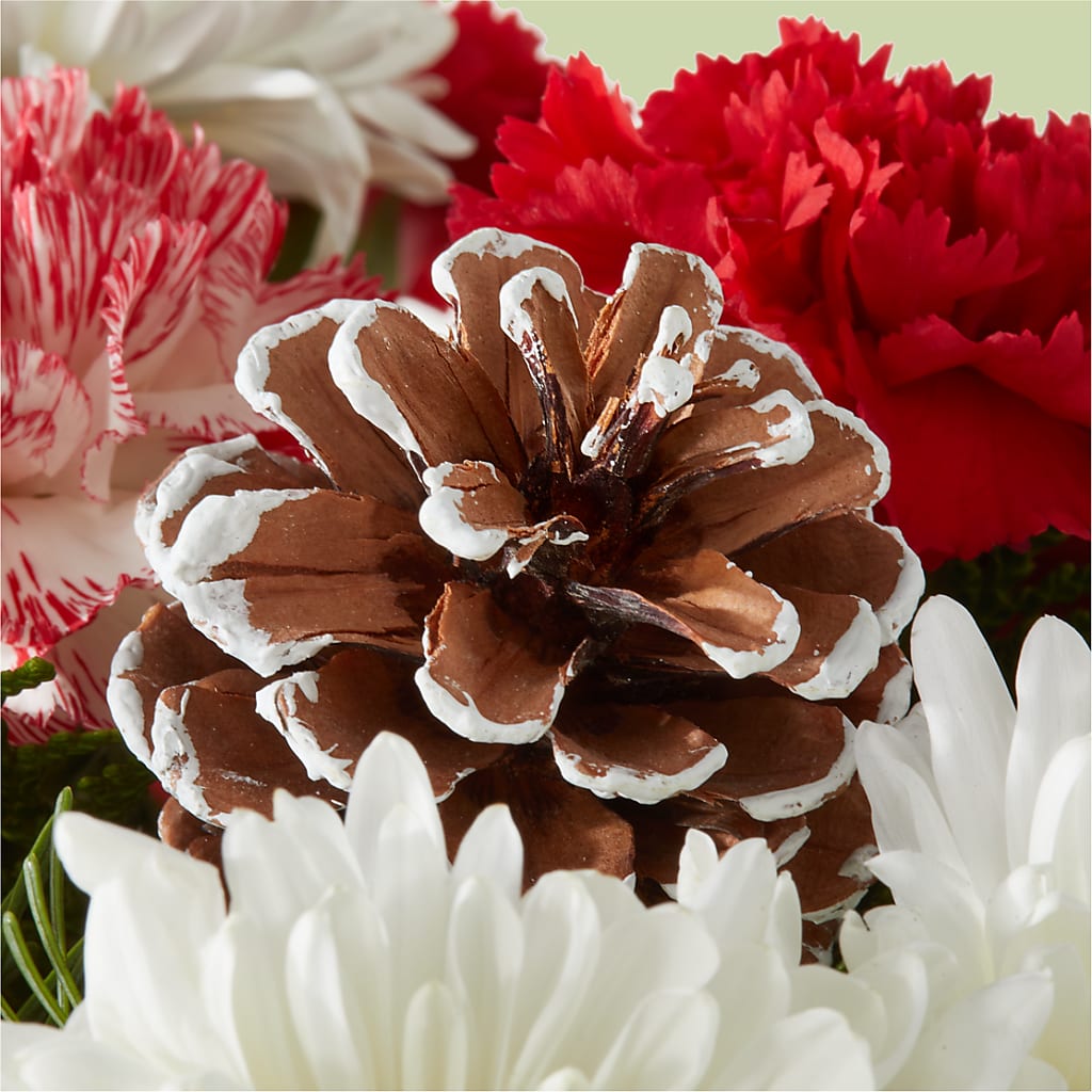 Candy Cane Lane Bouquet –  Sensation Flowers Boutique Inc, Miami FL