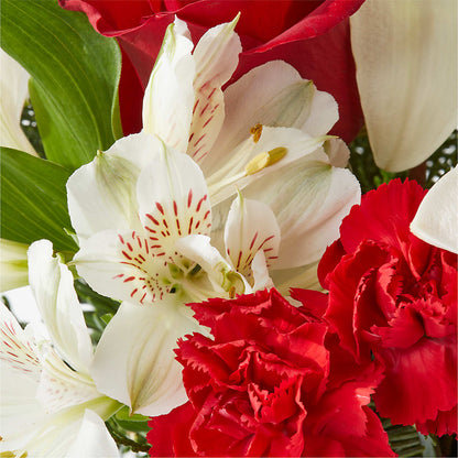 Holiday Season Bouquet –  Sensation Flowers Boutique Inc, Miami FL