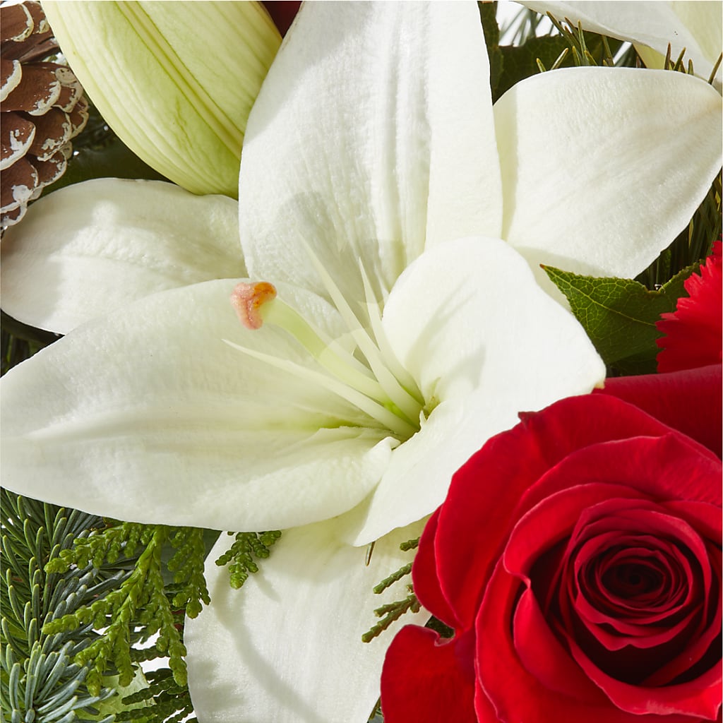 Oh So Jolly Bouquet –  Sensation Flowers Boutique Inc, Miami FL