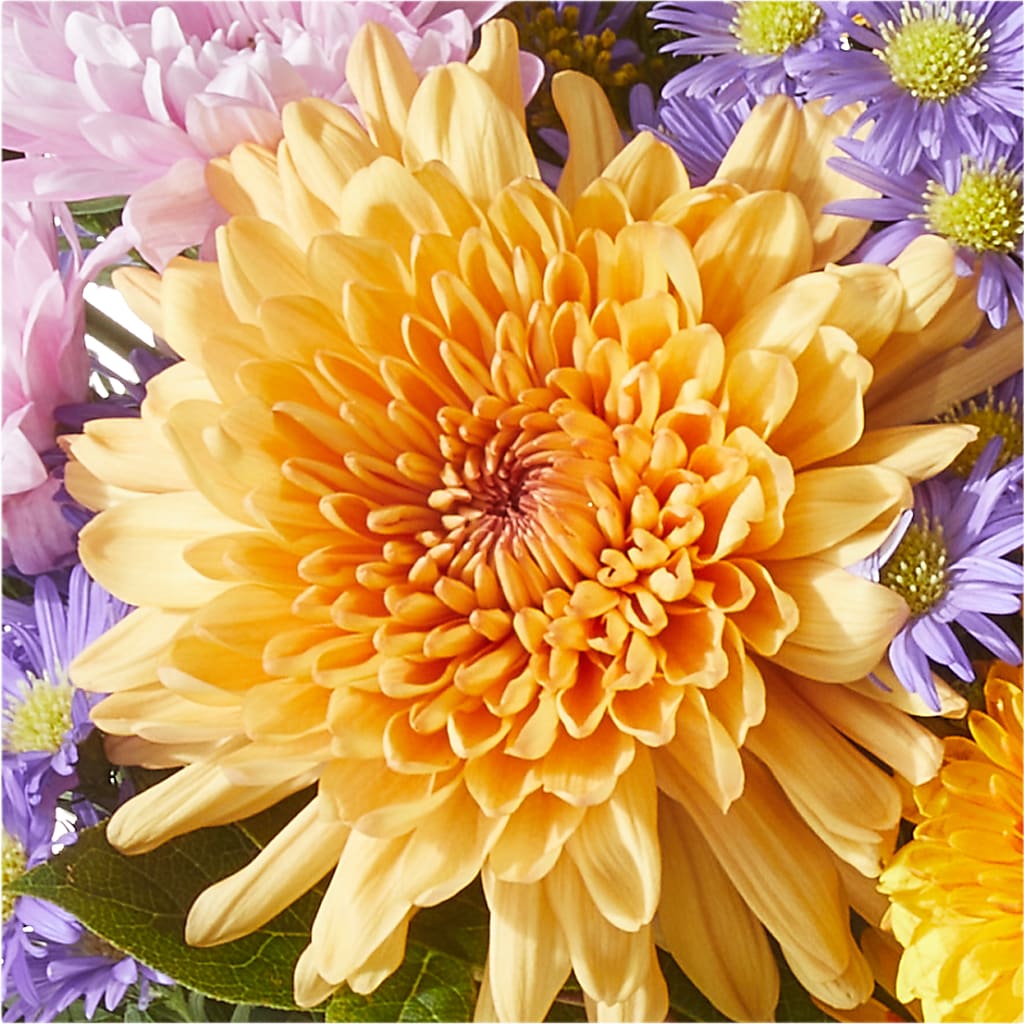 Countryside Bouquet –  Sensation Flowers Boutique Inc, Miami FL