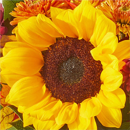 Sunny Side Bouquet –  Sensation Flowers Boutique Inc, Miami FL