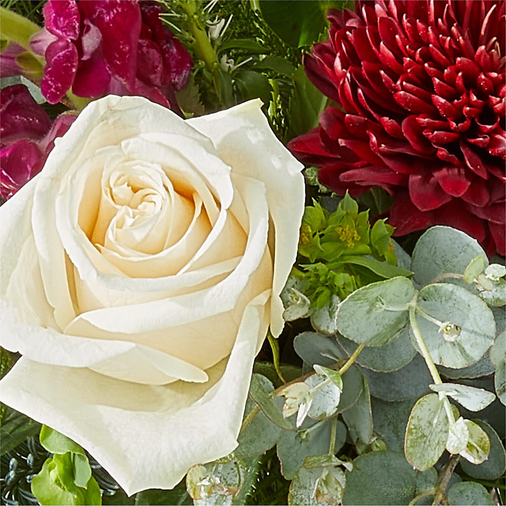 Cranberry Fizz Bouquet –  Sensation Flowers Boutique Inc, Miami FL