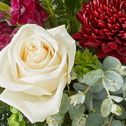 Cranberry Fizz Bouquet –  Sensation Flowers Boutique Inc, Miami FL