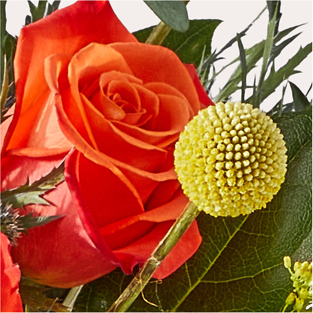 Disco Bouquet –  Sensation Flowers Boutique Inc, Miami FL