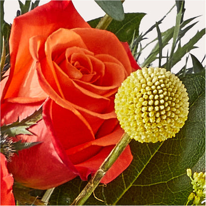 Disco Bouquet –  Sensation Flowers Boutique Inc, Miami FL