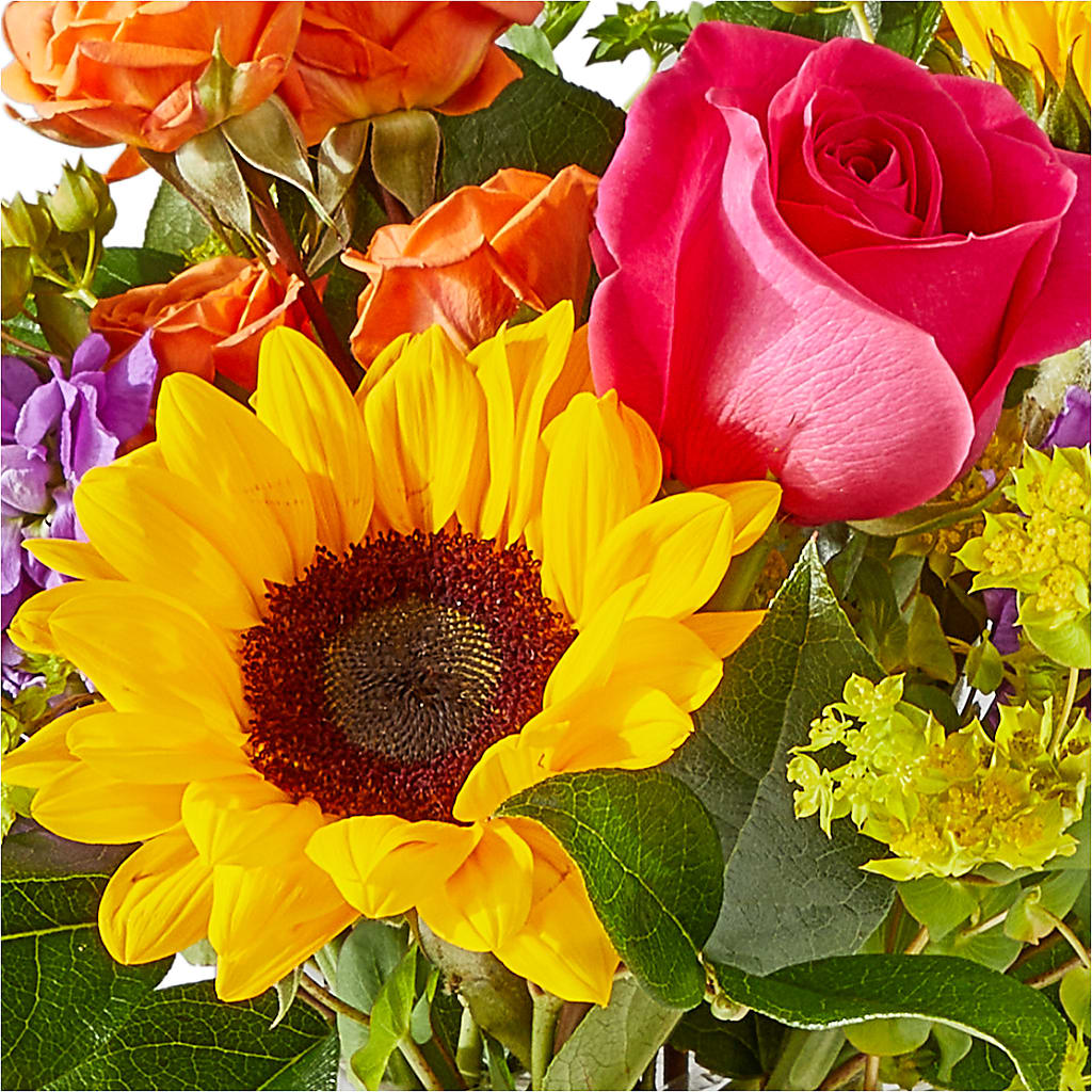Vibrant Greetings Bouquet –  Sensation Flowers Boutique Inc, Miami FL