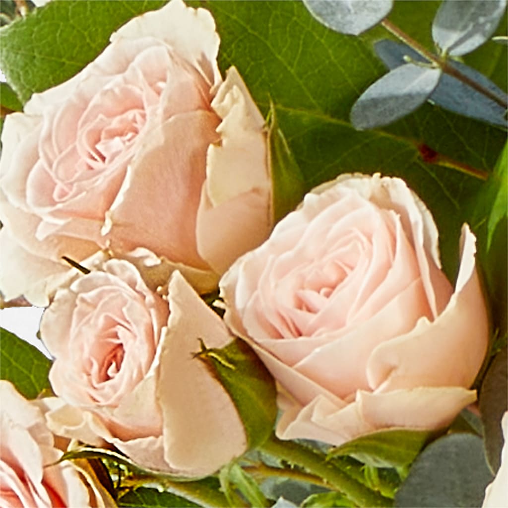Inspired Bouquet –  Sensation Flowers Boutique Inc, Miami FL