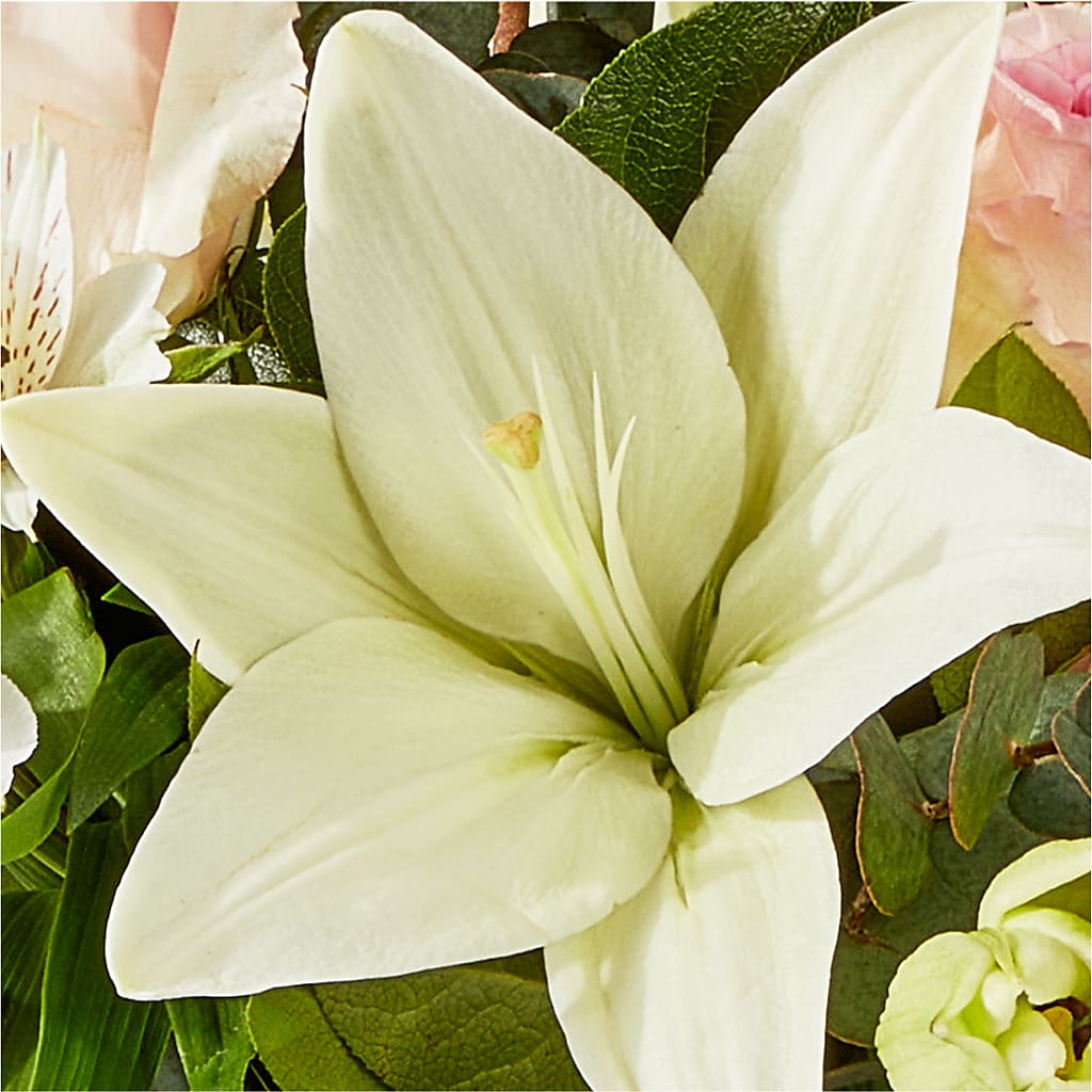 Ballet Slippers Bouquet –  Sensation Flowers Boutique Inc, Miami FL
