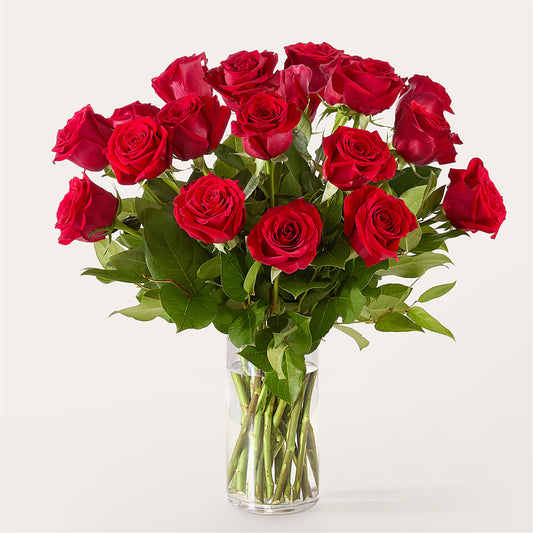 The One Red Rose Bouquet –  Sensation Flowers Boutique Inc, Miami FL