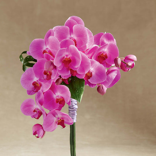 Glorious Bouquet –  Sensation Flowers Boutique Inc, Miami FL