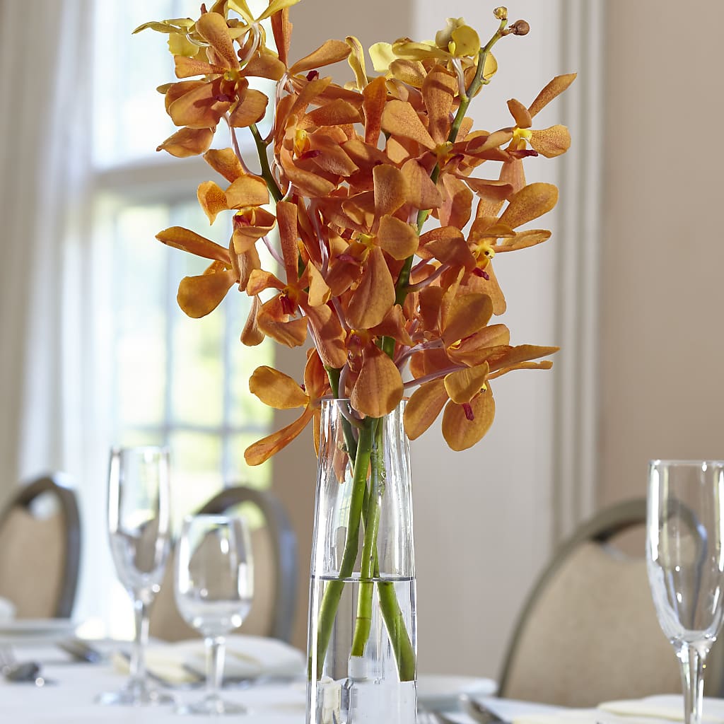 Orange Mokara Bud Vase –  Sensation Flowers Boutique Inc, Miami FL