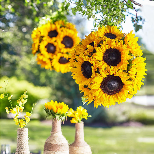 Sublime Garden Hanging Arrangement –  Sensation Flowers Boutique Inc, Miami FL