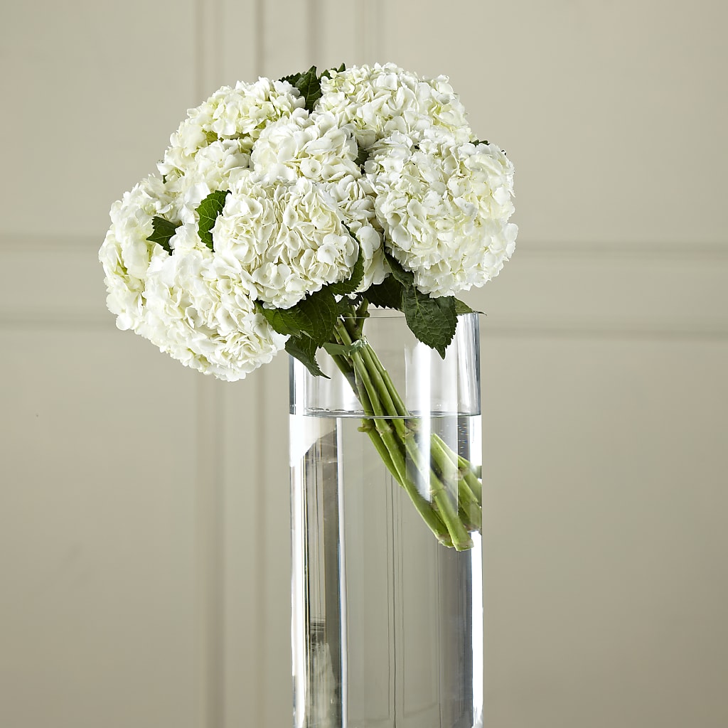 White Hydrangea Hand-Tied Bouquet –  Sensation Flowers Boutique Inc, Miami FL