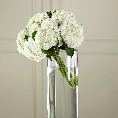 White Hydrangea Hand-Tied Bouquet –  Sensation Flowers Boutique Inc, Miami FL