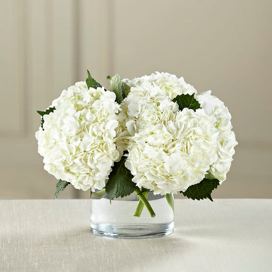 White Hydrangea Bouquet –  Sensation Flowers Boutique Inc, Miami FL
