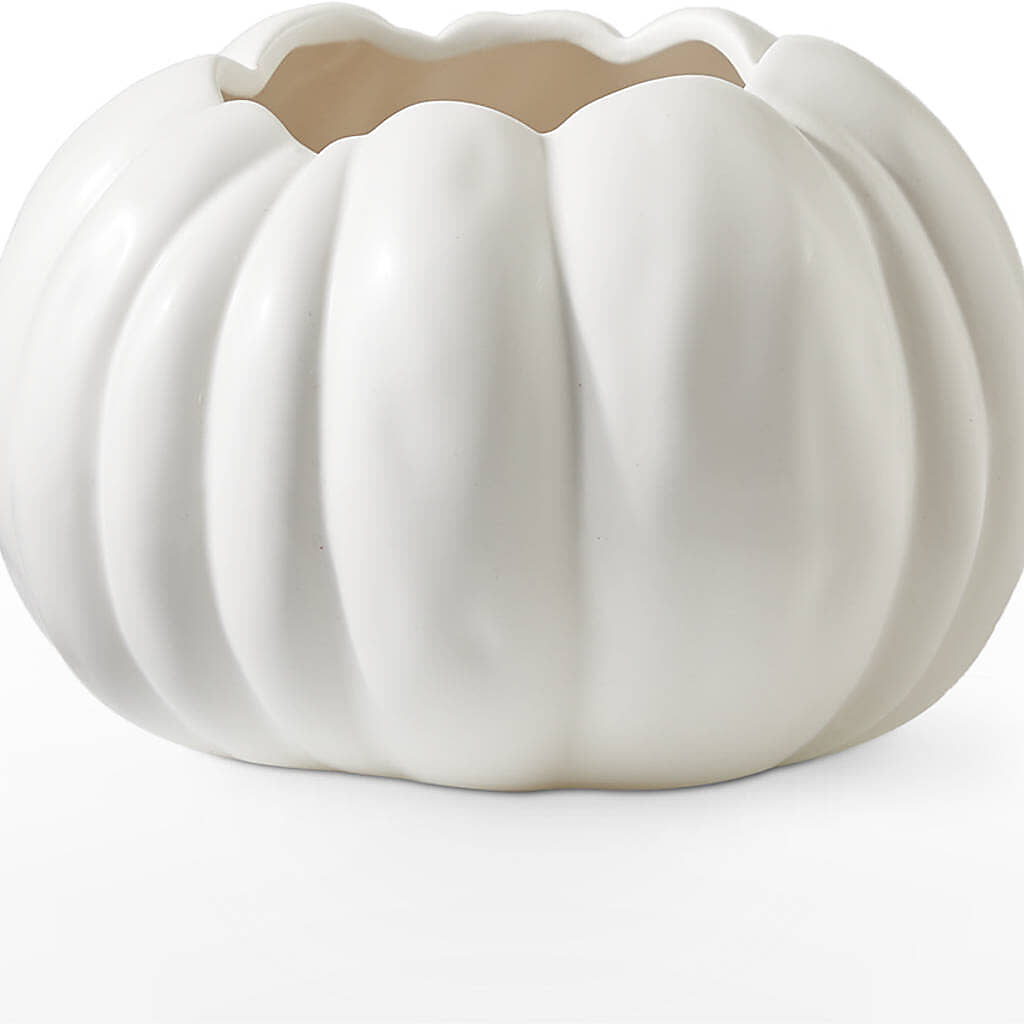 Pumpkin to Talk About Bouquet –  Sensation Flowers Boutique Inc, Miami FL